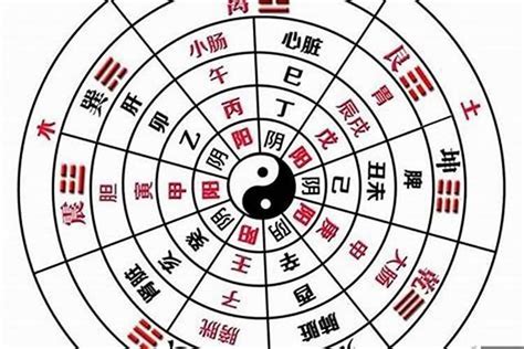 全阳八字|如何看自己八字全阳或全阴 (怎么知道自己八字纯阴还是纯阳)